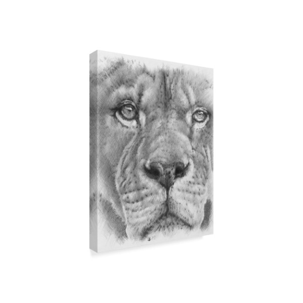 Barbara Keith 'Up Close Lion' Canvas Art,18x24